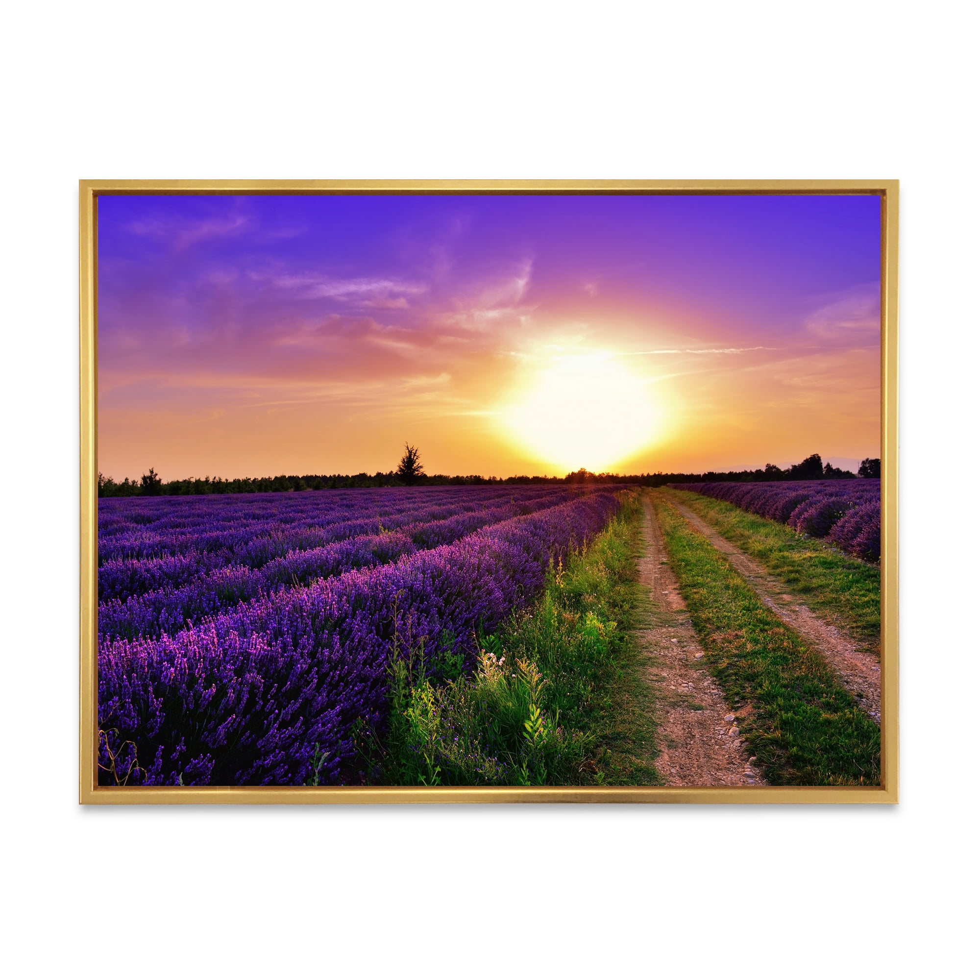 Designart 'Lavender Field At Sunrise II' Farmhouse Framed Canvas Wall Art Print
