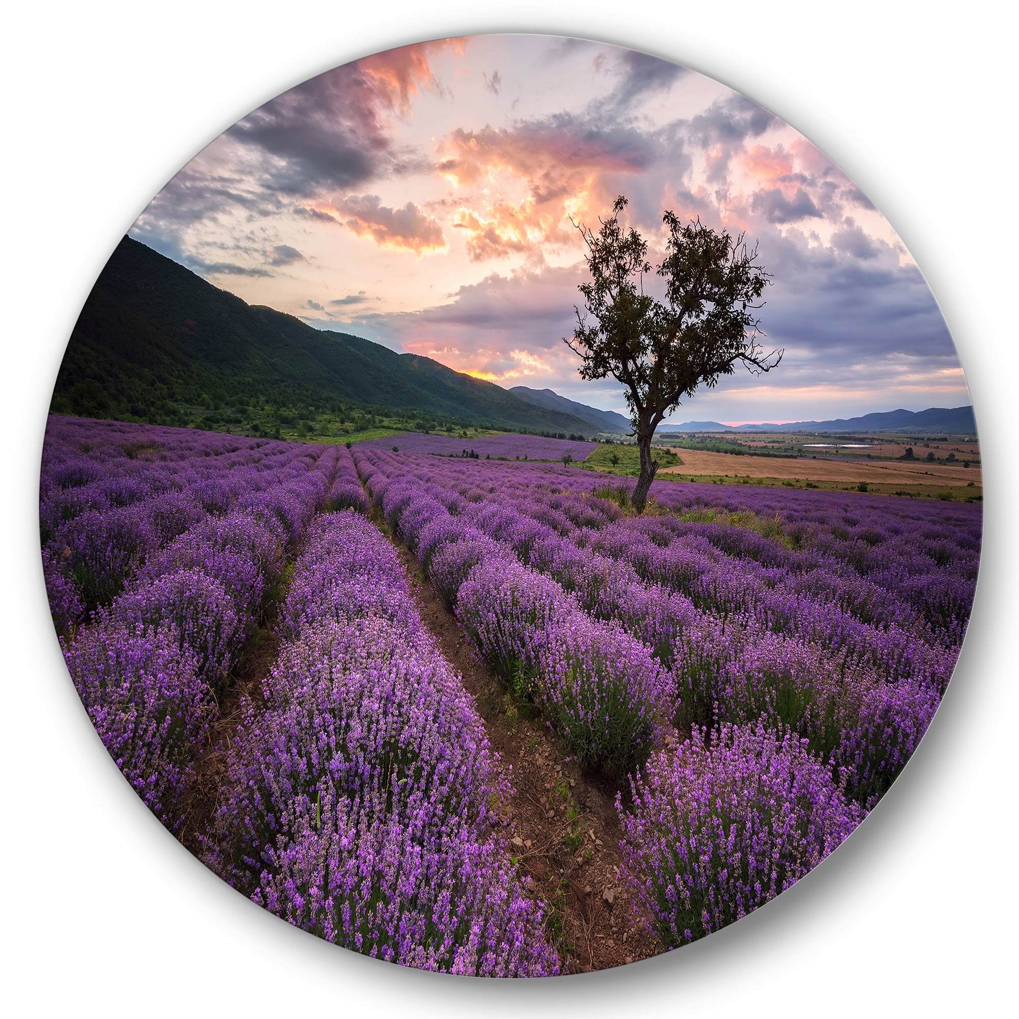 Designart 'Lavender Field At Sunrise III' Farmhouse Circle Metal Wall Art 11x11 - Disc of 11