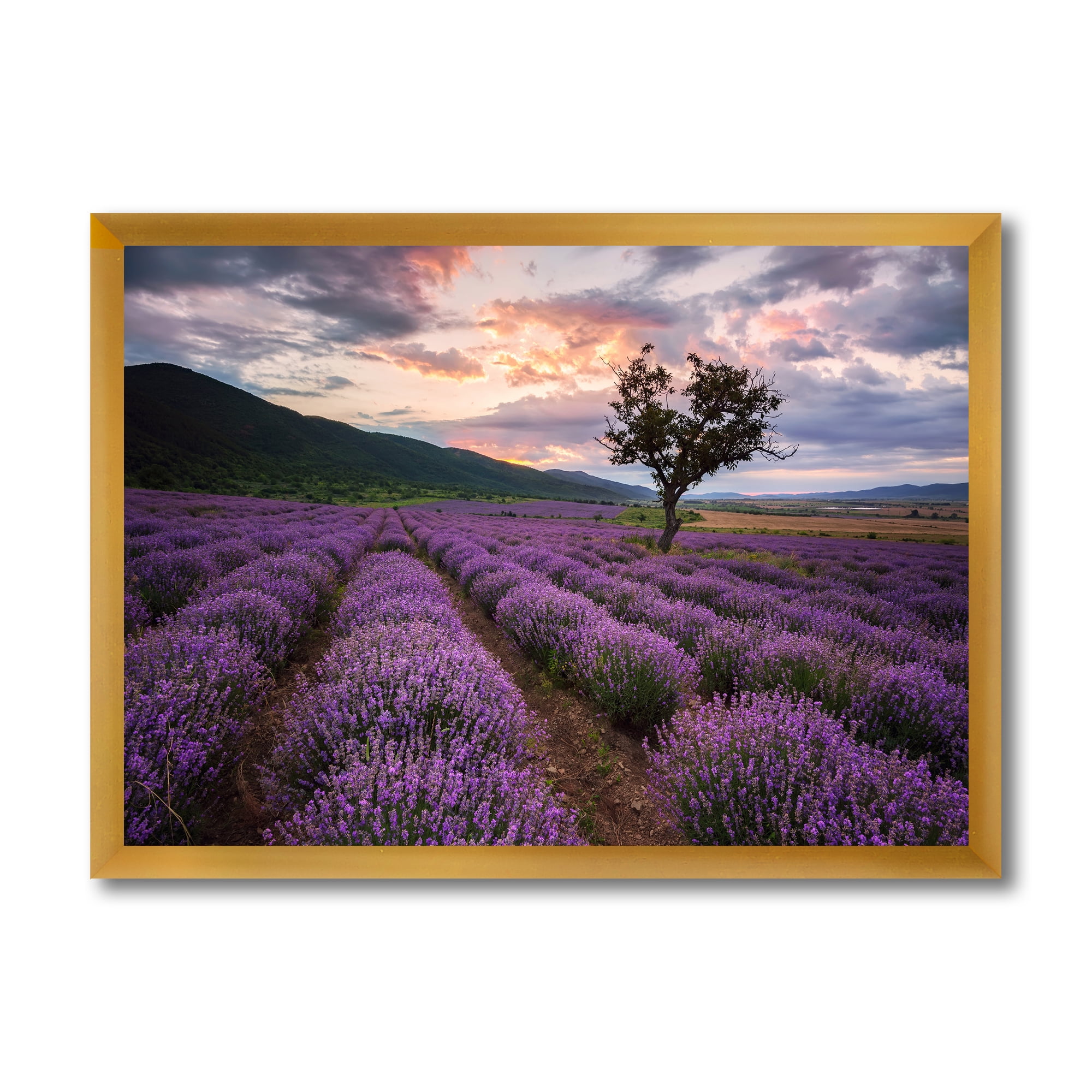 Designart 'Lavender Field At Sunrise III' Farmhouse Framed Art Print