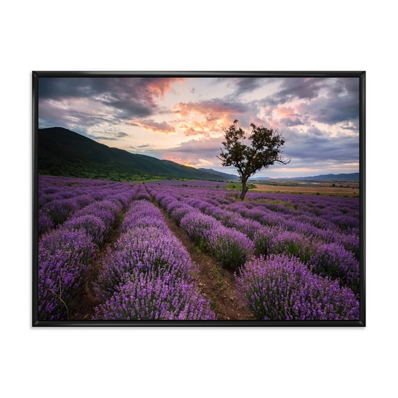Designart 'Lavender Field At Sunrise III' Farmhouse Framed Canvas Wall Art Print