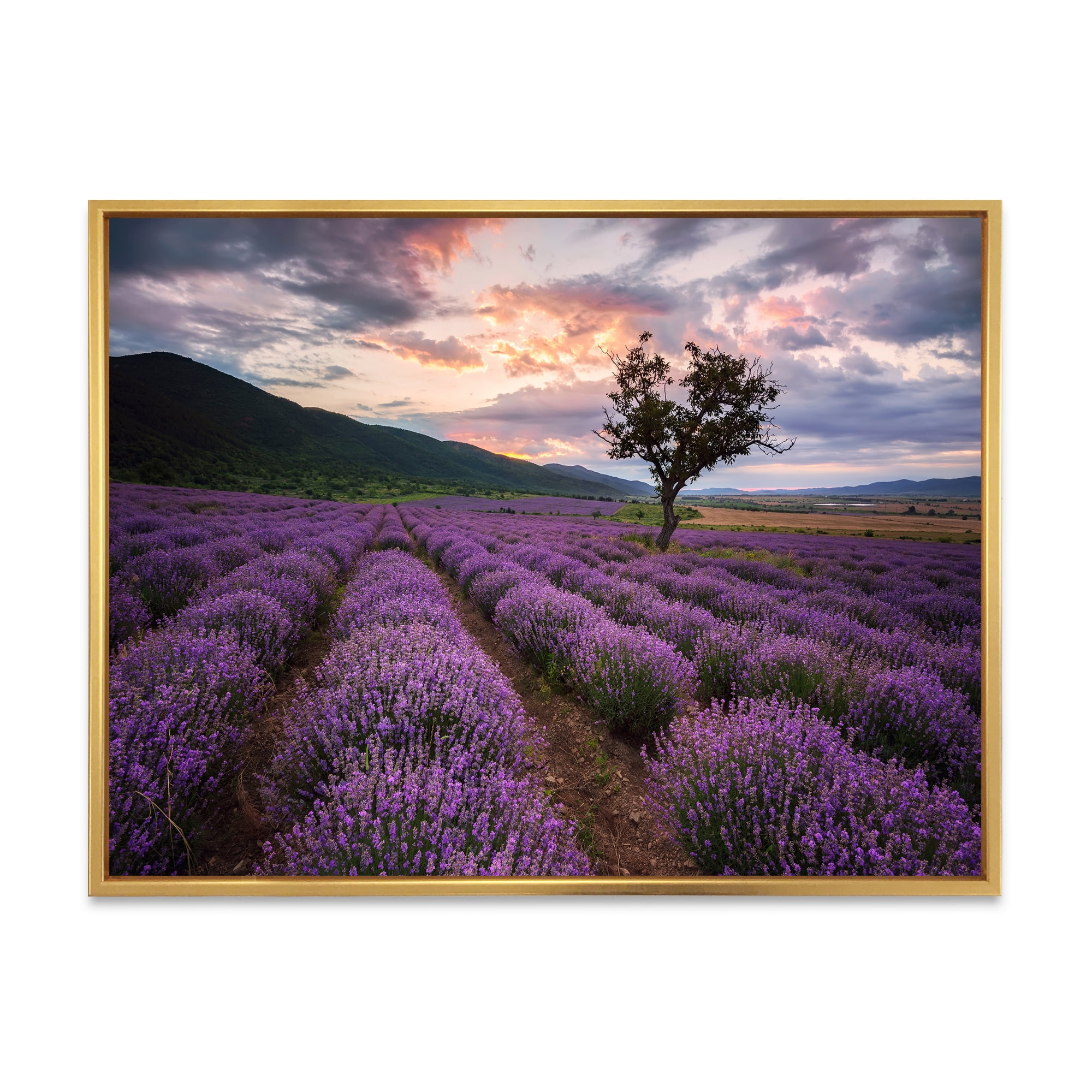 Designart 'Lavender Field At Sunrise III' Farmhouse Framed Canvas Wall Art Print