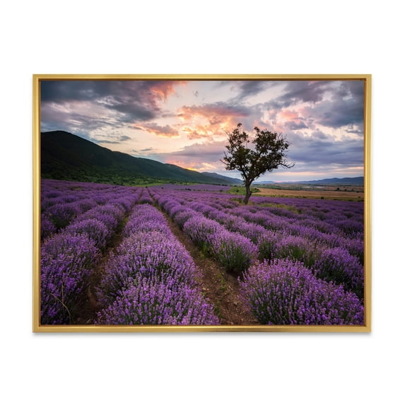 Designart 'Lavender Field At Sunrise III' Farmhouse Framed Canvas Wall Art Print