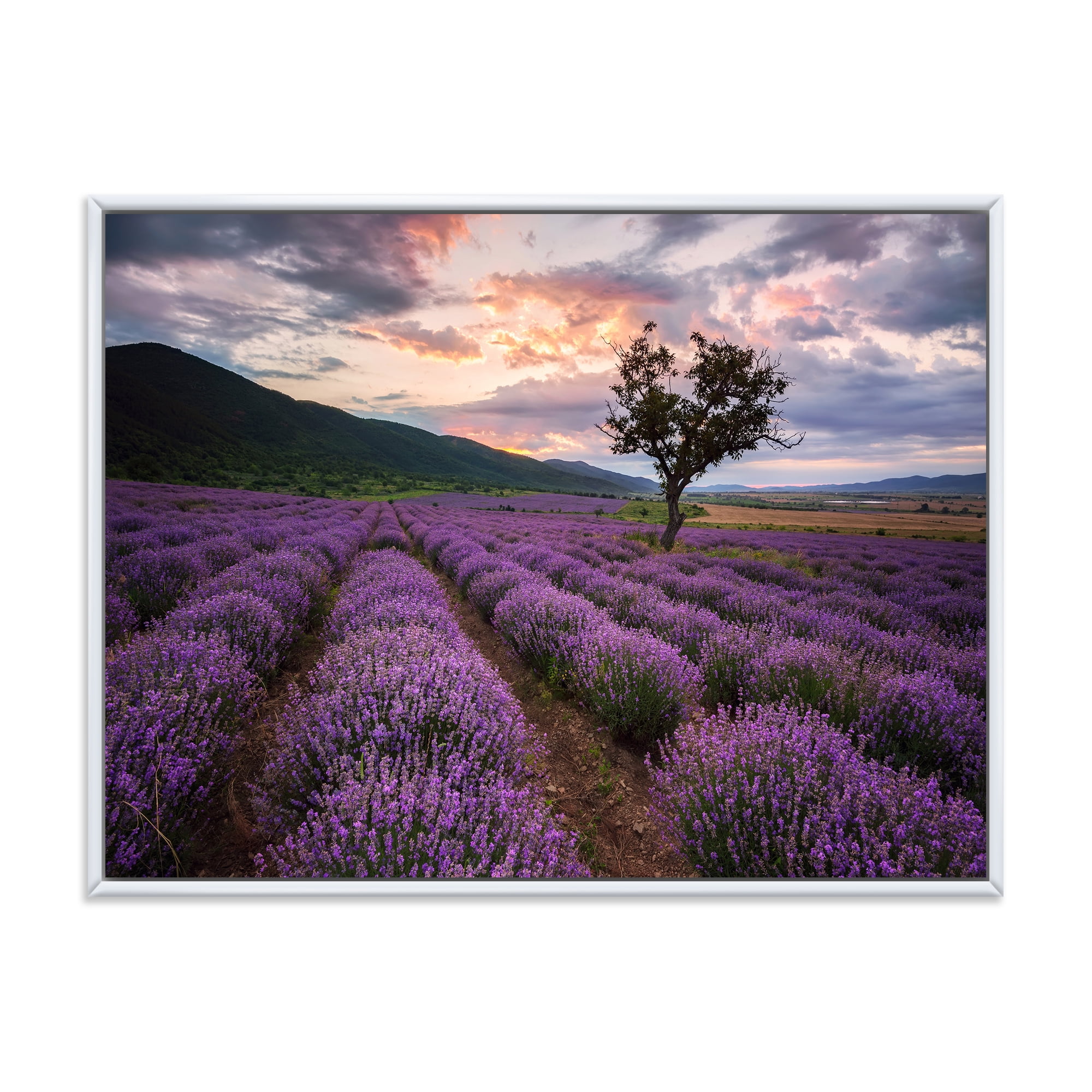 Designart 'Lavender Field At Sunrise III' Farmhouse Framed Canvas Wall Art Print