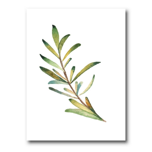Designart ' Leaf Rosemary Branch on White ' Traditional Canvas Wall Art Print