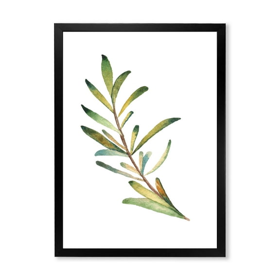 Designart 'Leaf Rosemary Branch on White' Traditional Framed Art Print