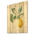 thumbnail image 1 of Designart 'Lemon Floursack I' Cabin & Lodge Print on Natural Pine Wood, 1 of 3