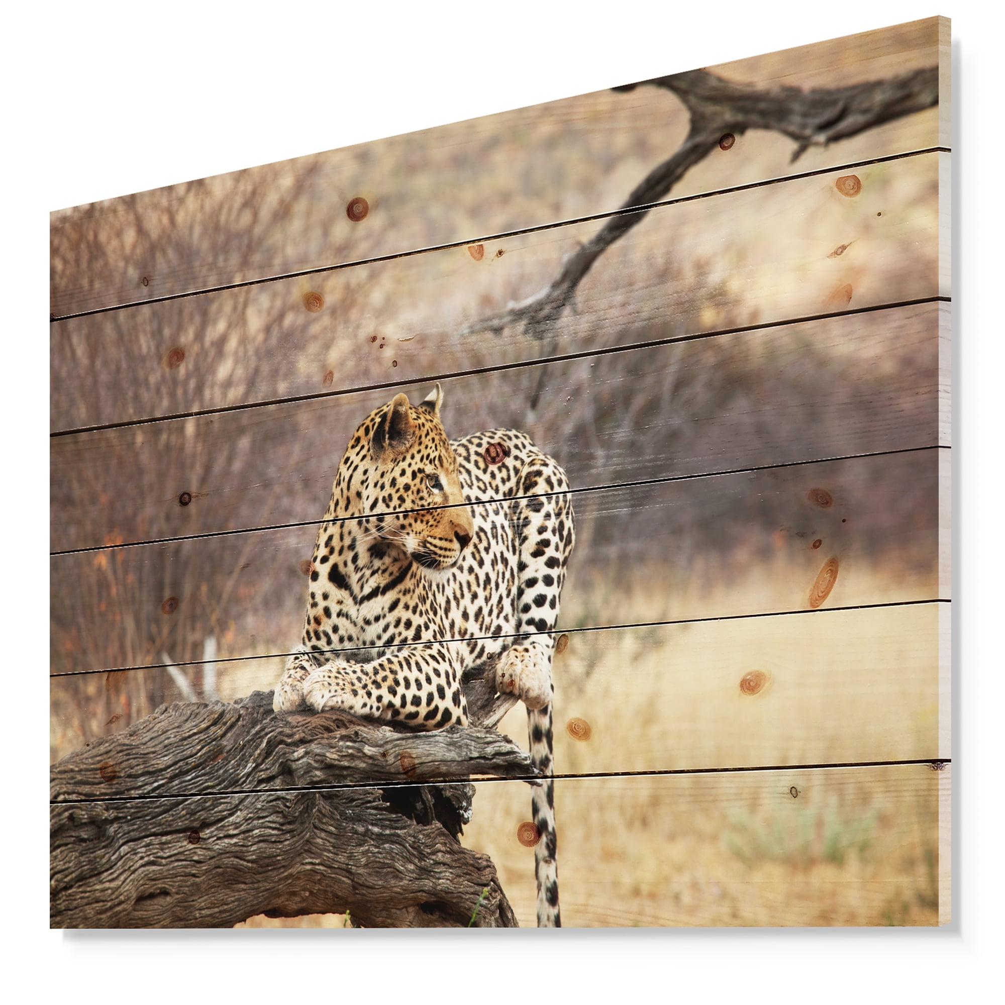Designart 'Leopard Sitting on Tree Trunk' African Print on Natural Pine Wood