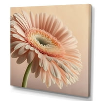 Designart Light Pink Gerbera Flowers II Canvas Wall Art