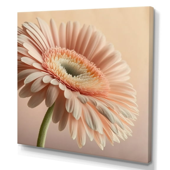 Designart Light Pink Gerbera Flowers II Canvas Wall Art
