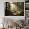thumbnail image 1 of Designart "Light Streams Through Forest III" Landscape Forest Wall Art Print, 1 of 5