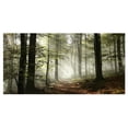 thumbnail image 1 of Designart 'Light in Dense Fall Forest with Fog ' Landscape Art Print Canvas, 1 of 3