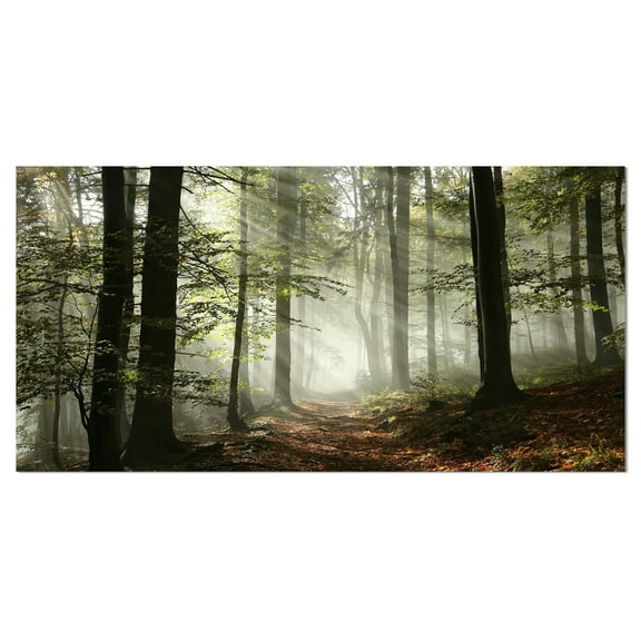Designart 'Light in Dense Fall Forest with Fog ' Landscape Art Print Canvas