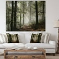 thumbnail image 1 of Designart 'Light in Dense Fall Forest with Fog ' Landscape Art Print Canvas, 1 of 3