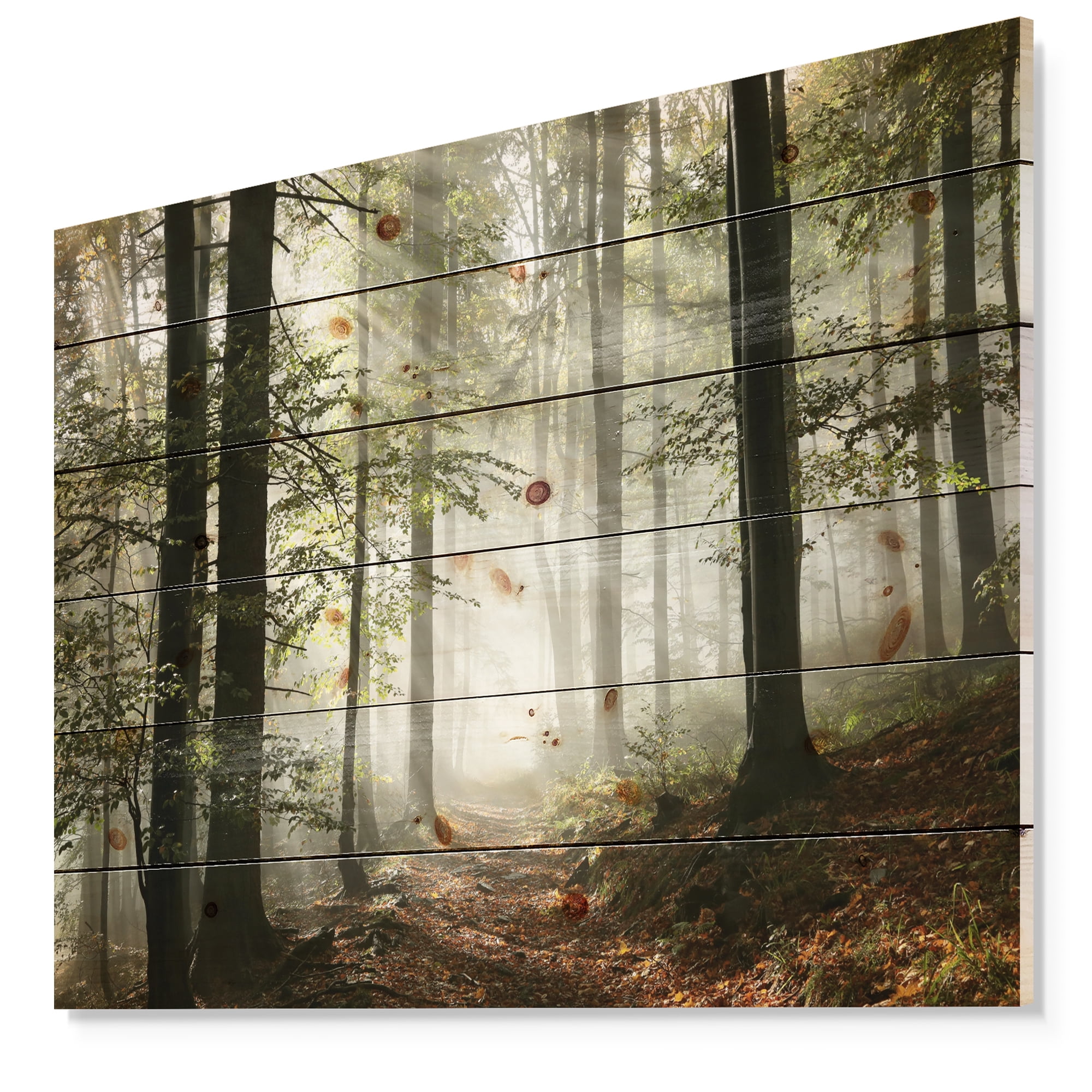 Designart Light in Dense Fall Forest with Fog Landscape Print on Natural Pine Wood Art Print, 40" x 30"