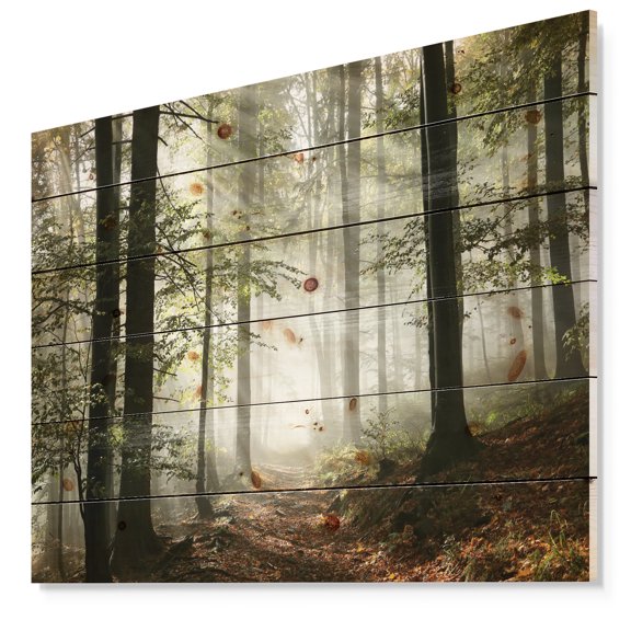 Designart 'Light in Dense Fall Forest with Fog' Landscape Print on Natural Pine Wood
