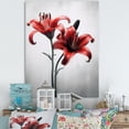 thumbnail image 1 of Designart "Lily Petals In Red And Grey" Lilies Canvas Art Print, 1 of 7