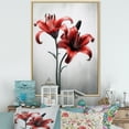 thumbnail image 1 of Designart "Lily Petals In Red And Grey" Lilies Floater Framed Canvas Art Print, 1 of 5