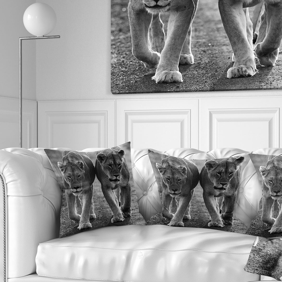 Designart Lions in Black and White - Animal Photo Throw Pillow - 18x18