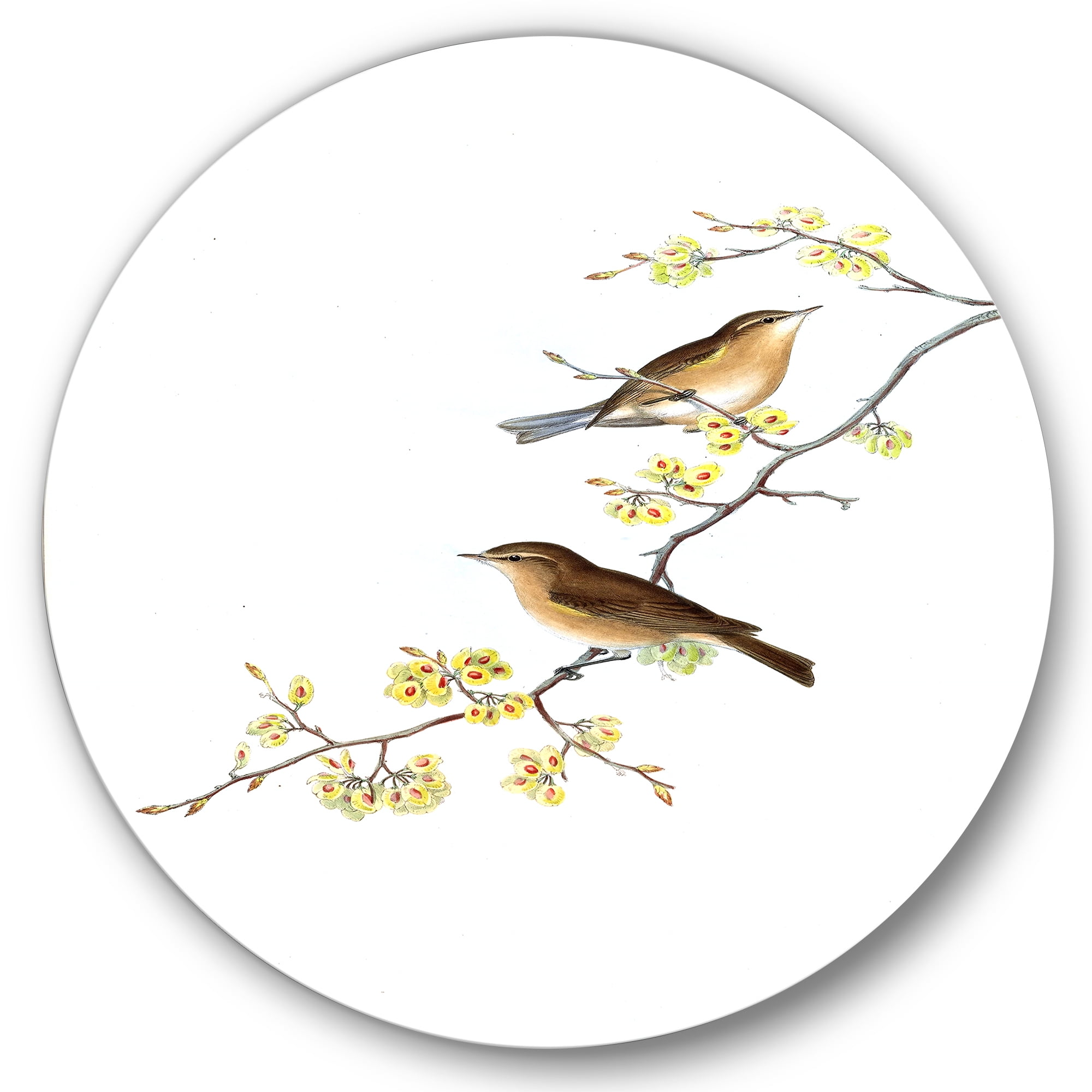 Designart 'Little Birds Sitting On The Tree Branches II' Traditional Circle Metal Wall Art 11x11 - Disc of 11