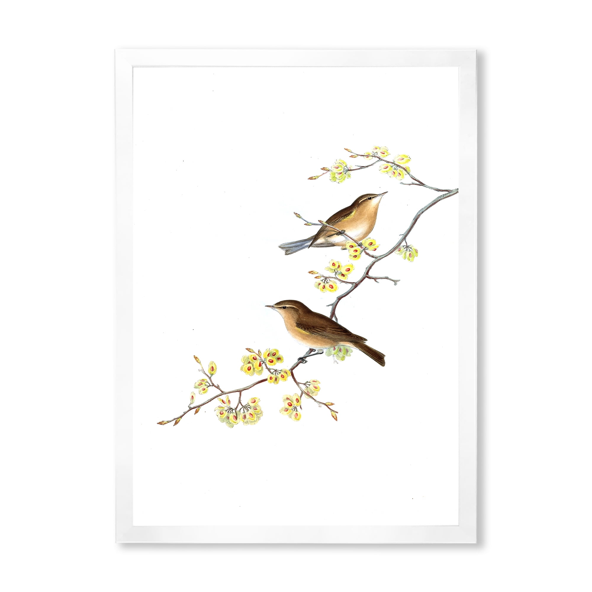 Designart 'Little Birds Sitting On The Tree Branches II' Traditional Framed Art Print