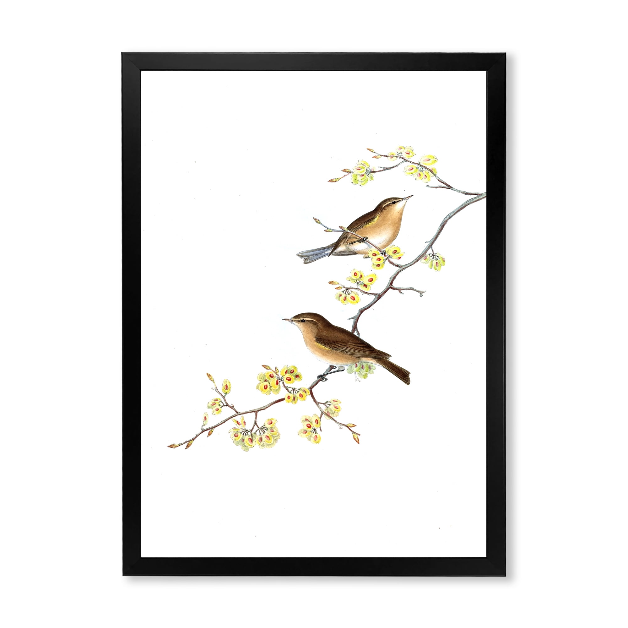 Designart 'Little Birds Sitting On The Tree Branches II' Traditional Framed Art Print