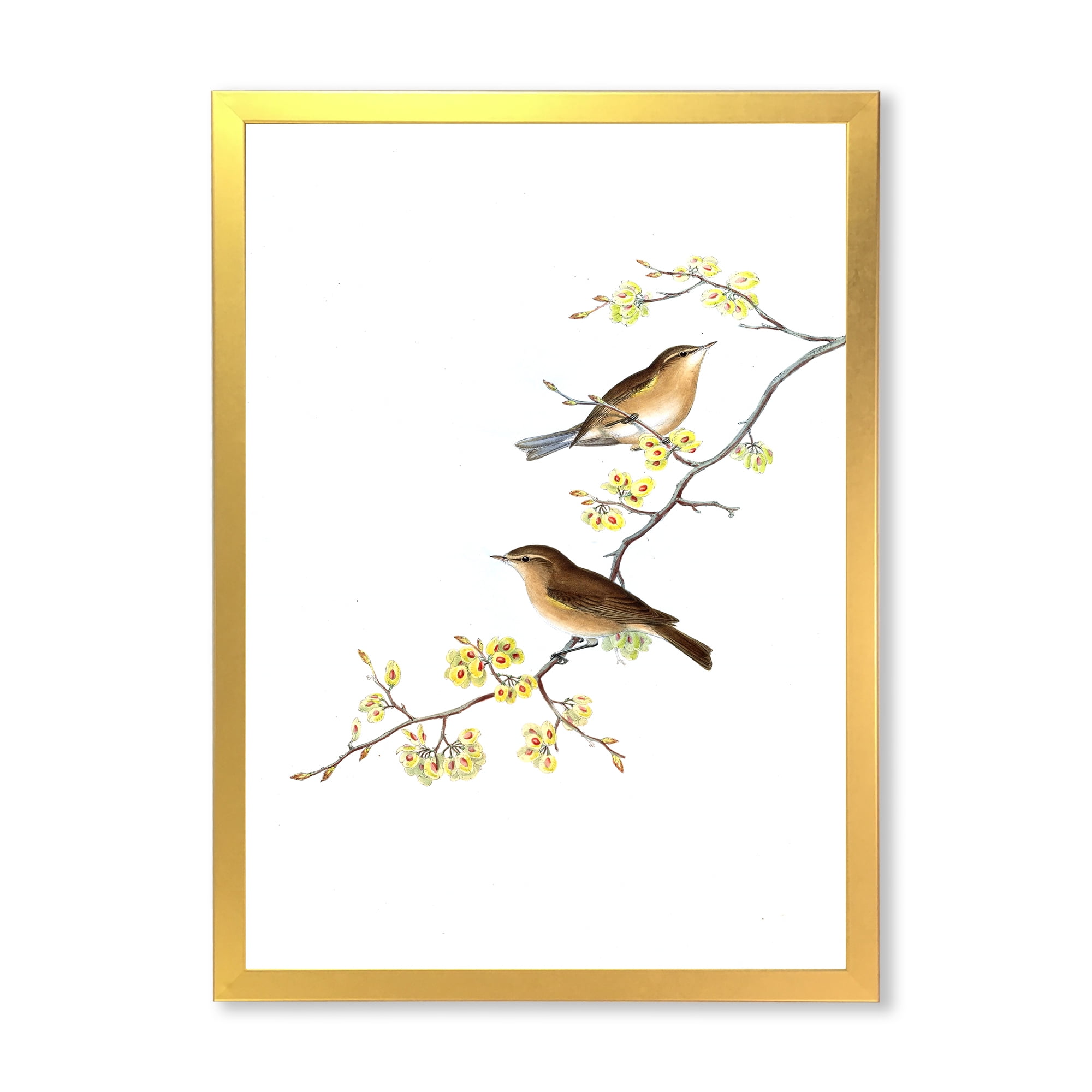 Designart 'Little Birds Sitting On The Tree Branches II' Traditional Framed Art Print
