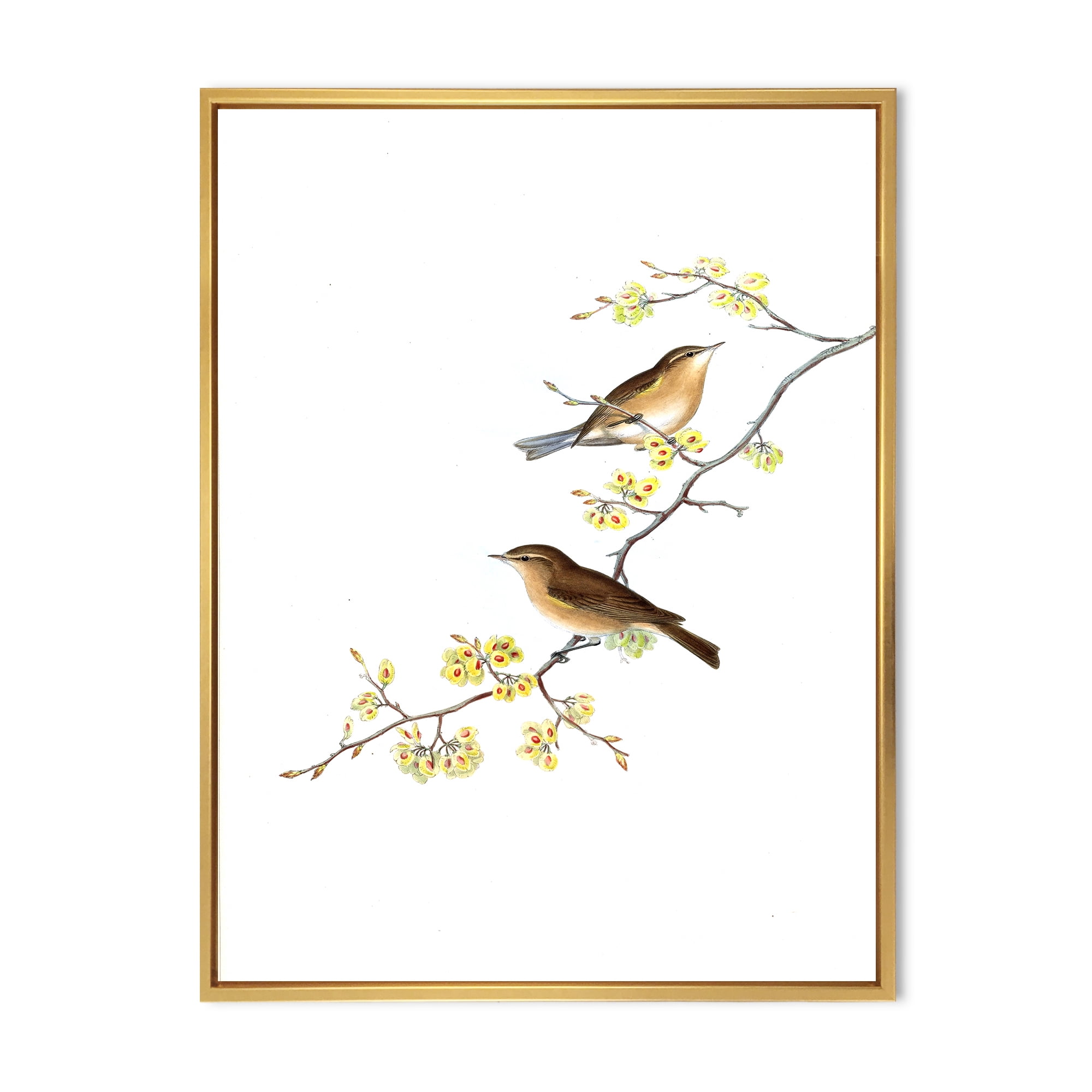 Designart 'Little Birds Sitting On The Tree Branches II' Traditional Framed Canvas Wall Art Print