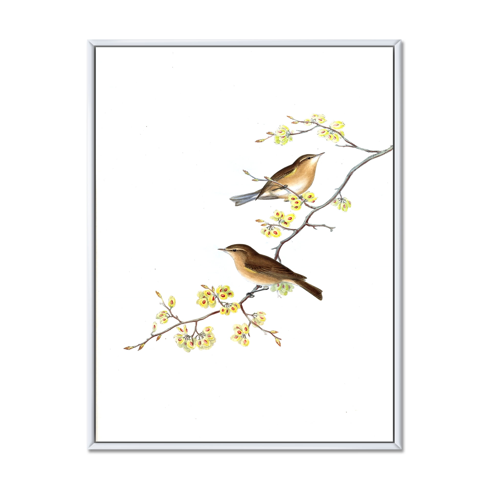 Designart 'Little Birds Sitting On The Tree Branches II' Traditional Framed Canvas Wall Art Print