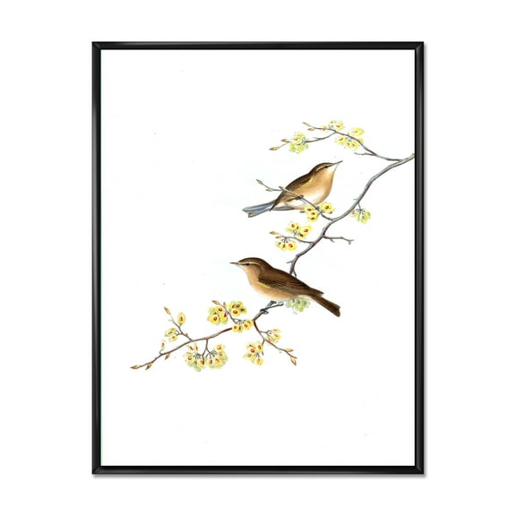 Designart 'Little Birds Sitting On The Tree Branches II' Traditional Framed Canvas Wall Art Print