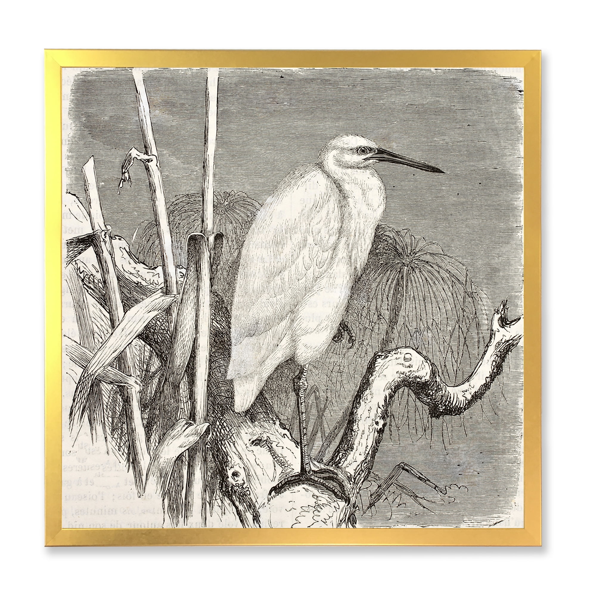 Designart 'Little Egret Bird in Monochrome' Farmhouse Framed Art Print