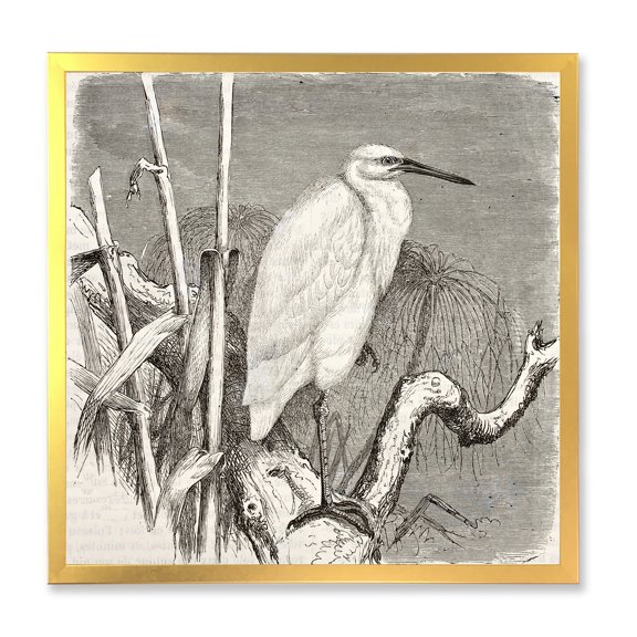 Designart 'Little Egret Bird in Monochrome' Farmhouse Framed Art Print