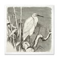thumbnail image 1 of Designart 'Little Egret Bird in Monochrome' Farmhouse Framed Art Print, 1 of 4
