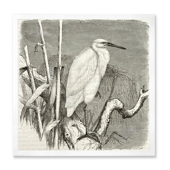 Designart 'Little Egret Bird in Monochrome' Farmhouse Framed Art Print