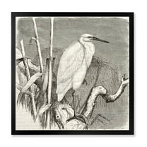 Designart 'Little Egret Bird in Monochrome' Farmhouse Framed Art Print