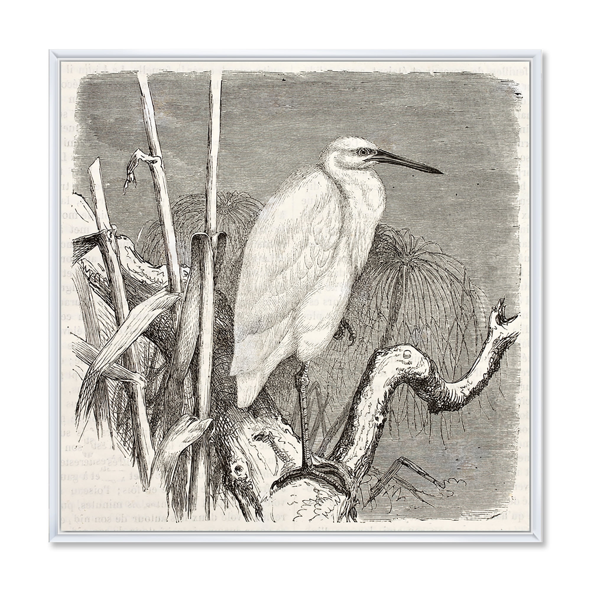 Designart 'Little Egret Bird in Monochrome' Farmhouse Framed Canvas Wall Art Print