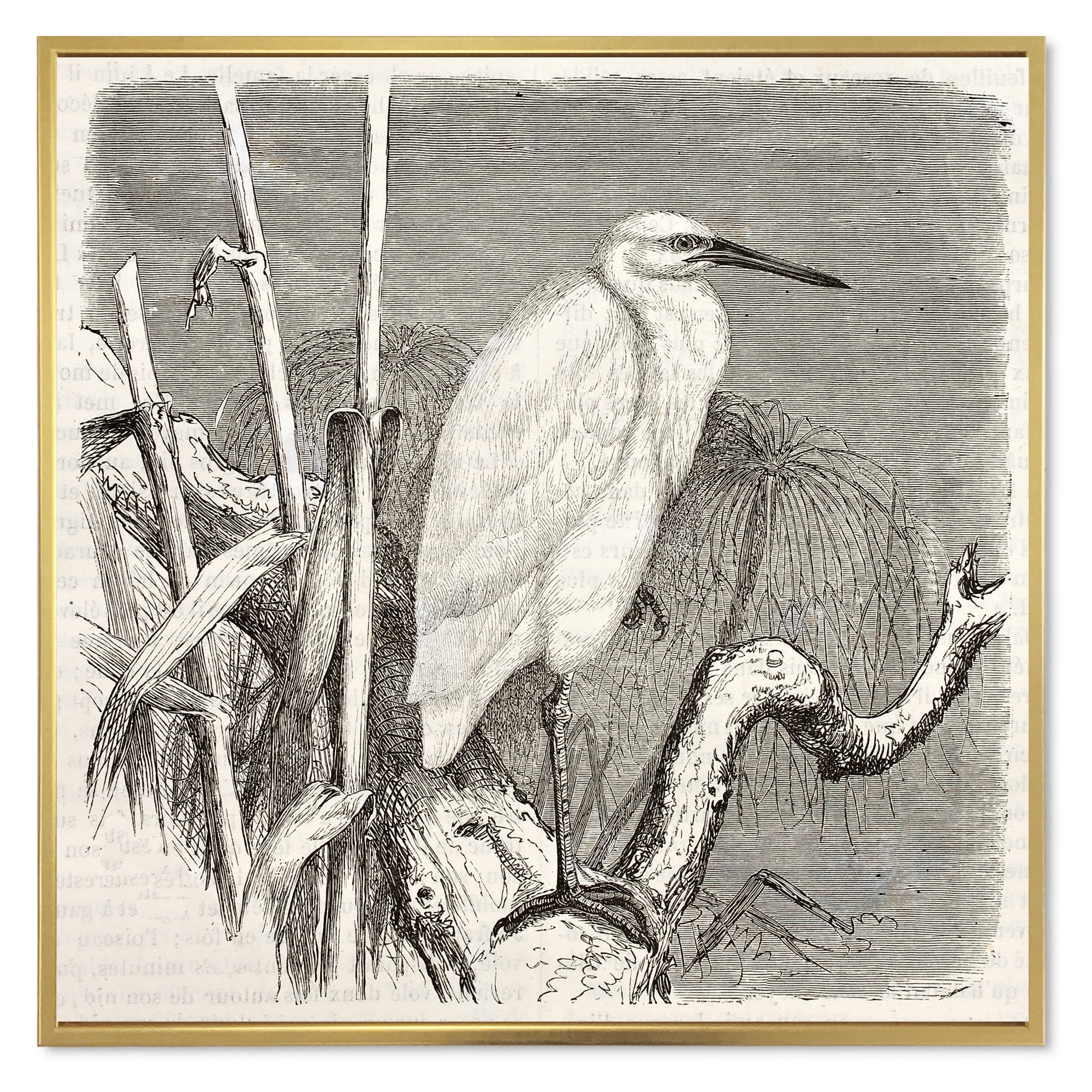 Designart 'Little Egret Bird in Monochrome' Farmhouse Framed Canvas Wall Art Print