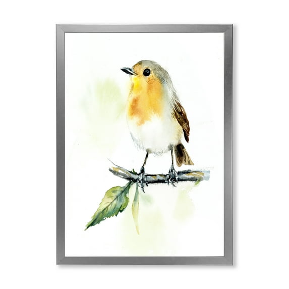 Designart 'Little Robin Bird Sitting On A Branch' Traditional Framed Art Print