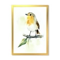 thumbnail image 1 of Designart 'Little Robin Bird Sitting On A Branch' Traditional Framed Art Print, 1 of 4