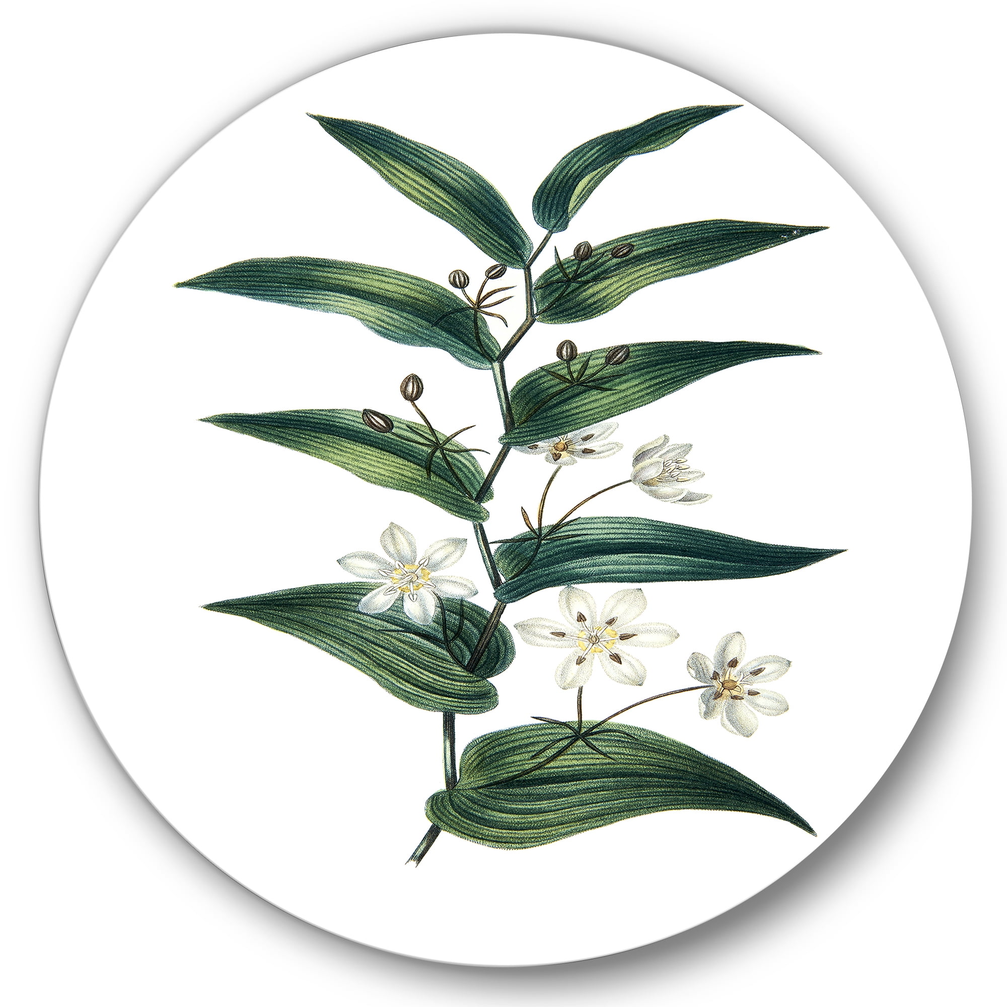 Designart 'Little White Flowers With Ancient Plant' Farmhouse Circle Metal Wall Art 36x36 - Disc of 36