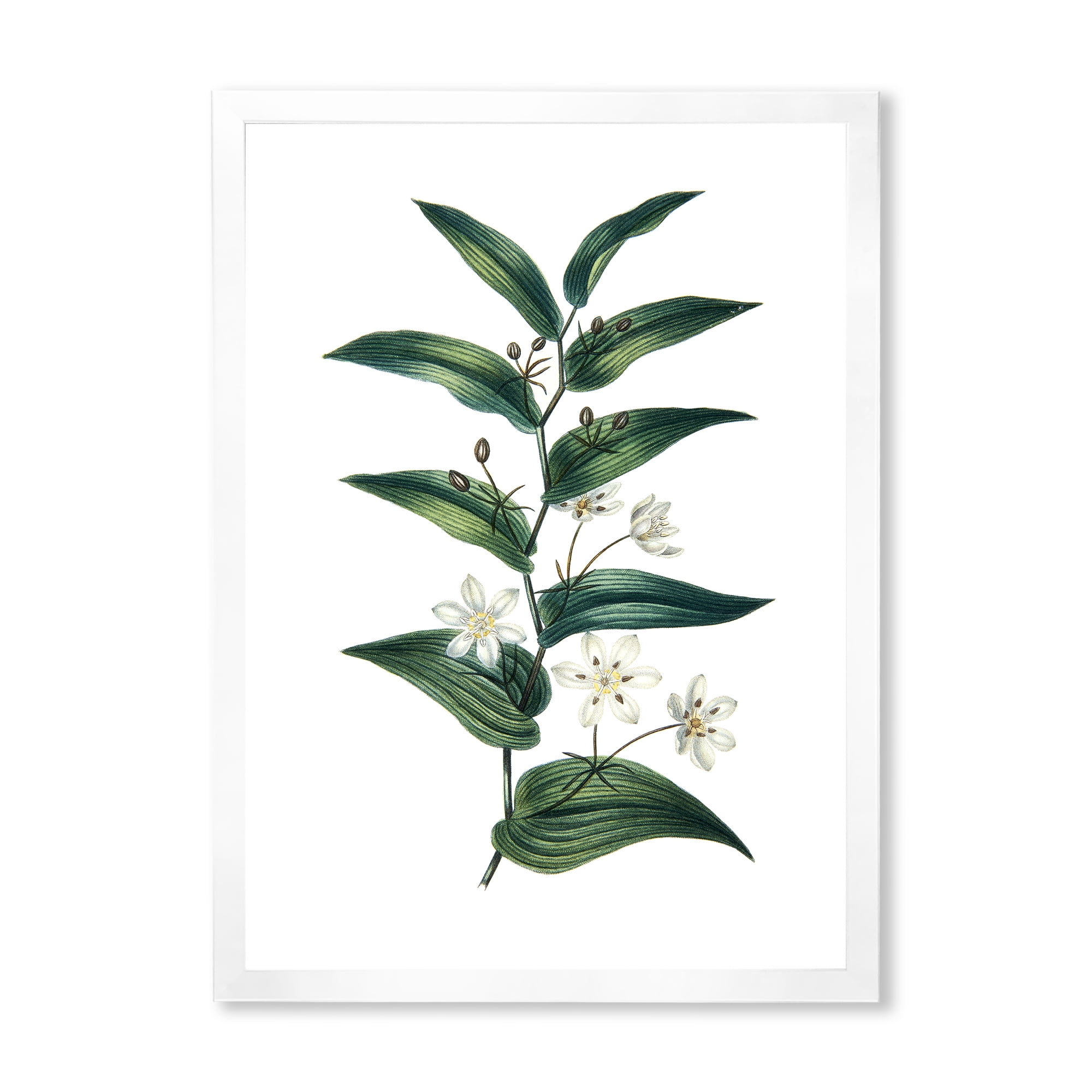 Designart 'Little White Flowers With Ancient Plant' Farmhouse Framed Art Print