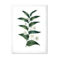 thumbnail image 1 of Designart 'Little White Flowers With Ancient Plant' Farmhouse Framed Art Print, 1 of 4