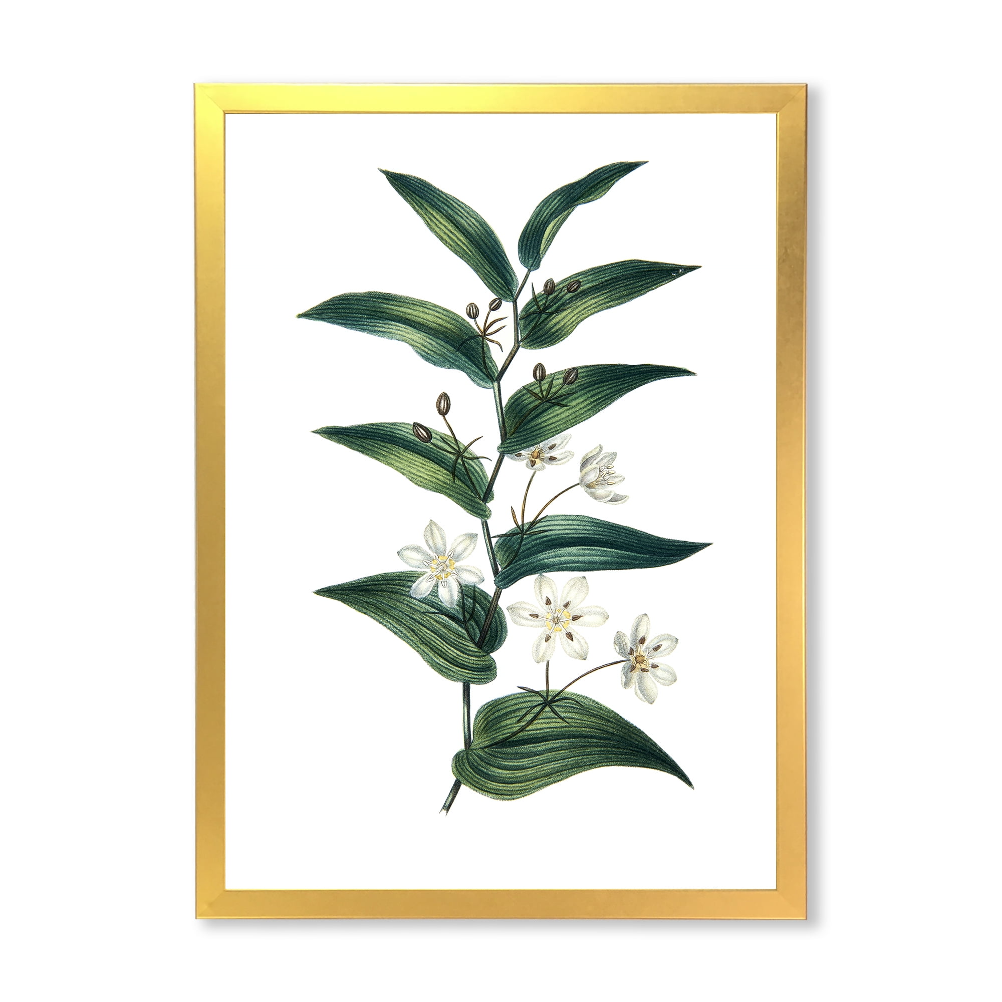 Designart 'Little White Flowers With Ancient Plant' Farmhouse Framed Art Print