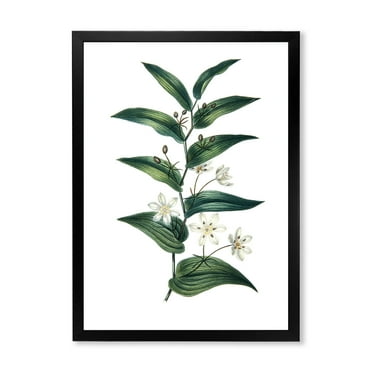 Designart 'Little White Flowers With Ancient Plant' Farmhouse Framed Art Print