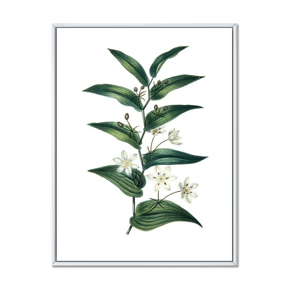 Designart 'Little White Flowers With Ancient Plant' Farmhouse Framed Canvas Wall Art Print