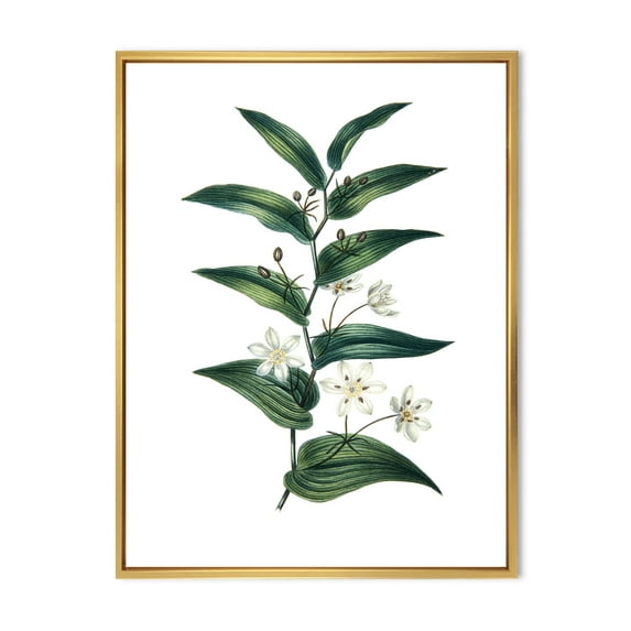 Designart 'Little White Flowers With Ancient Plant' Farmhouse Framed Canvas Wall Art Print