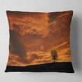 thumbnail image 1 of Designart Lonely Tree under Brown Sky - Landscape Printed Throw Pillow - 16x16, 1 of 4