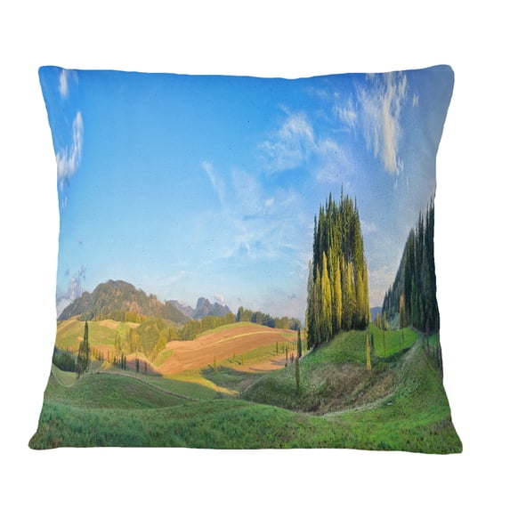 Designart Long Panorama with Little Forest - Landscape Printed Throw Pillow - 16x16