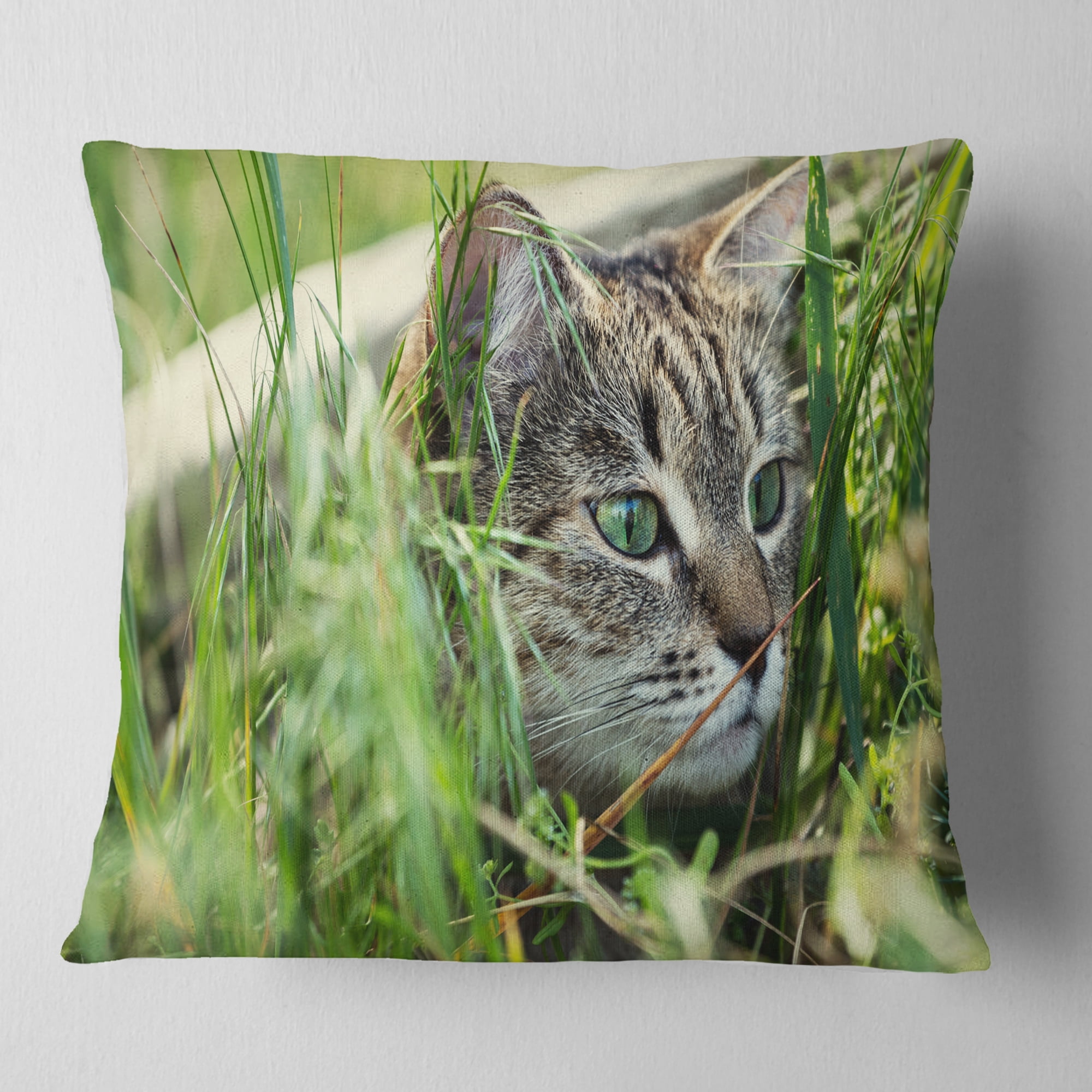 Designart Lovely Kitten in Grass - Animal Throw Pillow - 16x16
