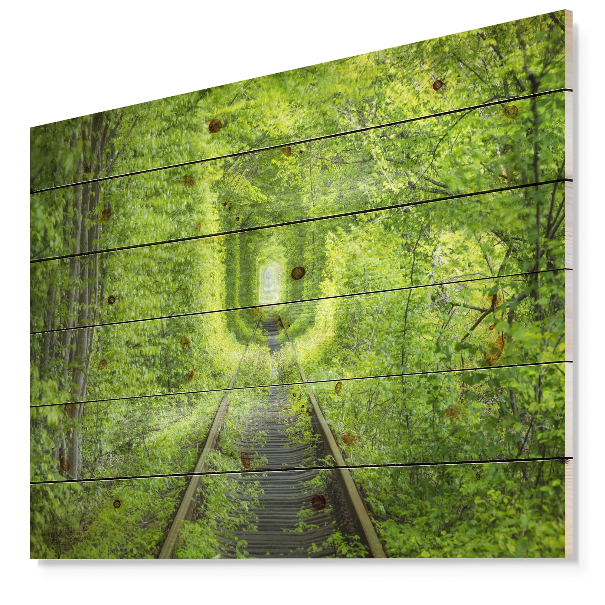 Designart 'Lush Green Forest around Rail Way Tunnel ' Landscape Print on Natural Pine Wood