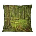 thumbnail image 1 of Designart Lush Rainforest in Cathedral Grove - Landscape Printed Throw Pillow - 16x16, 1 of 1